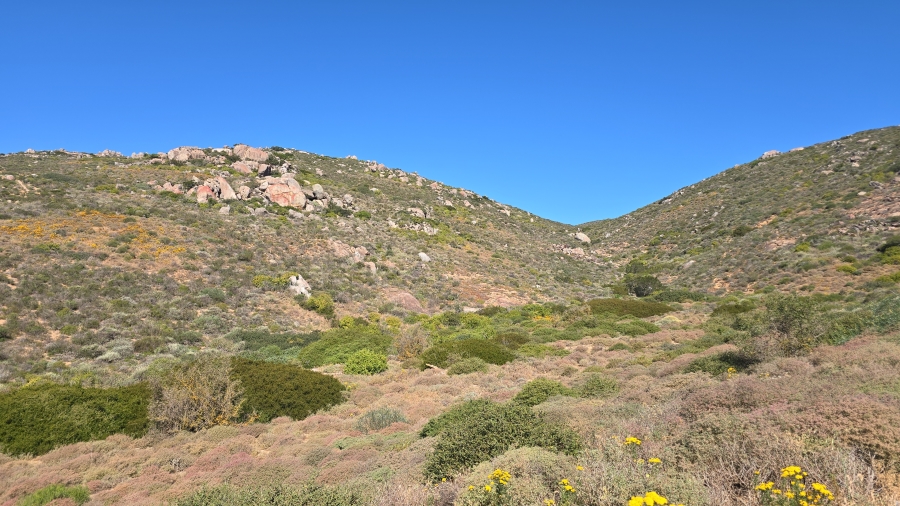 0 Bedroom Property for Sale in St Helena Views Western Cape